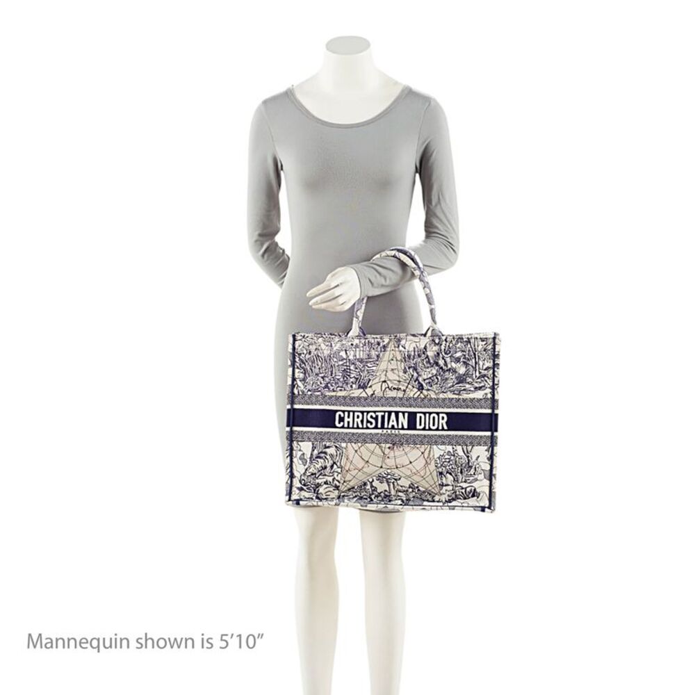 Dior Embroidered Canvas Around the World Large Book Tote - Picture 5 of 12